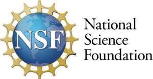 National Science Foundation