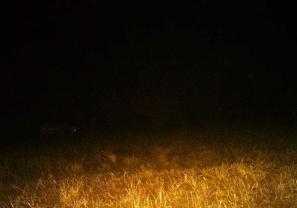 Subject ASG0019003