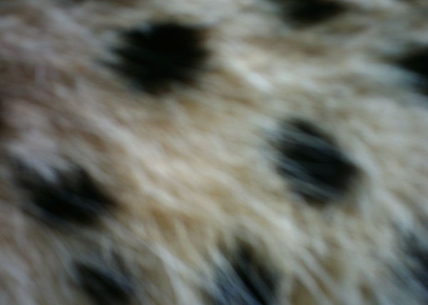 Subject ASG001c71k
