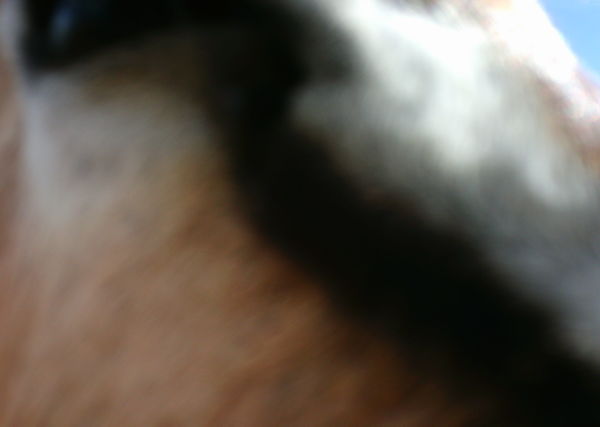 Subject ASG001d5z6