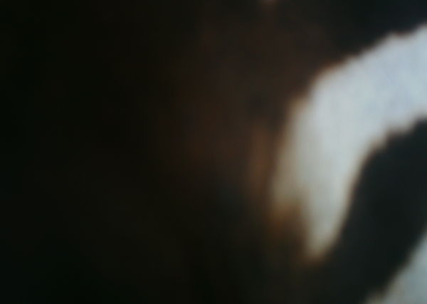 Subject ASG001gxud