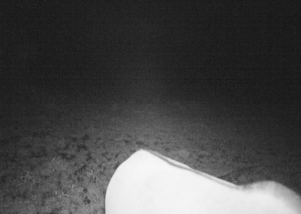 Subject ASG001qg5y