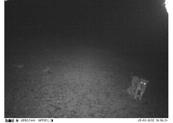Subject ASG001rq22