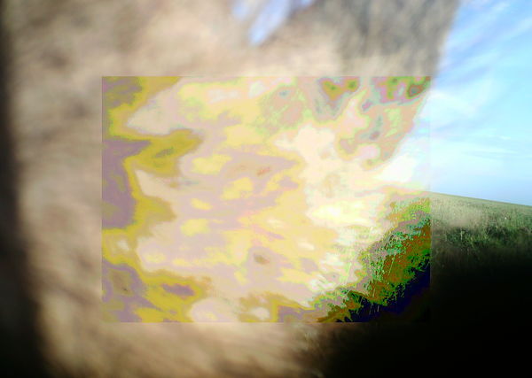 Subject ASG001yyu7