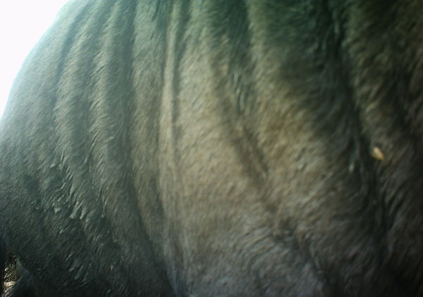 Subject ASG001yf12