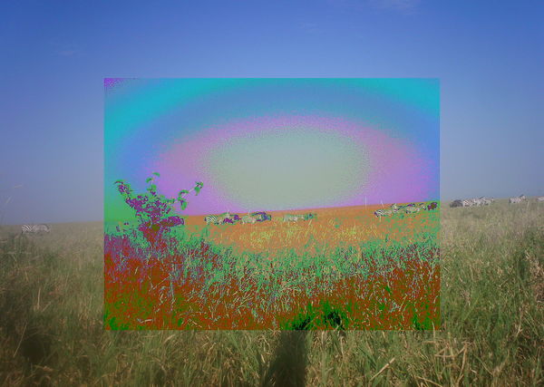 Subject ASG001w8r2