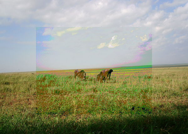 Subject ASG001u59d
